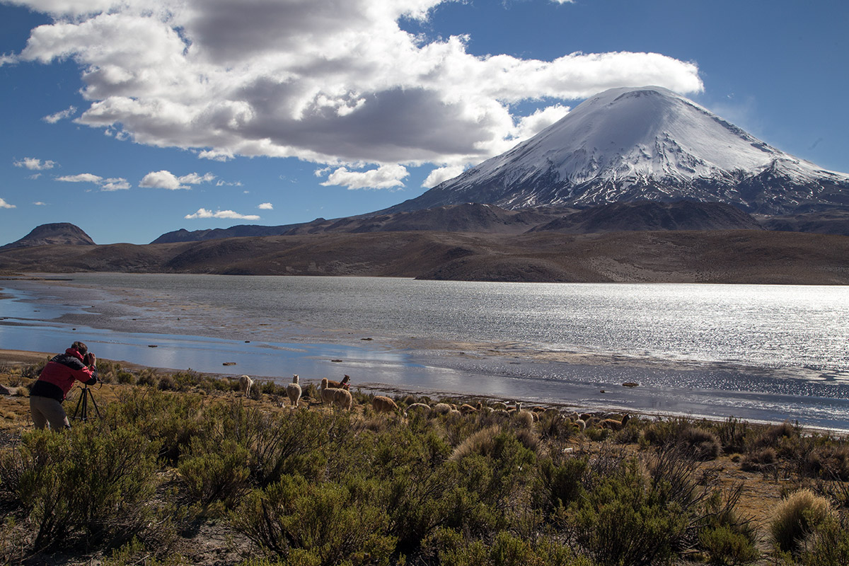 Tours Putre Altiplano Chile Hote Terrace Lodge