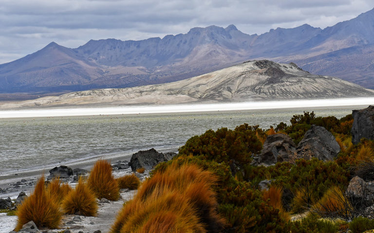 Sustainable Tourism Altiplano Chile Terrace Lodge Putre