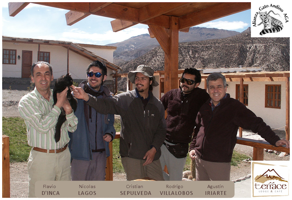 Aliazan Gato Andino - Members of the Andean Cat Alliance at Terrace Lodge & Tours, Putre, Arica y Parinacota, Chile