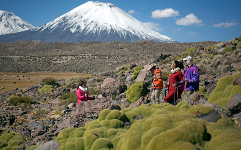 Trekking Reserva Nacional Las Vicuñas Putre Chile Hotel Terrace Lodge