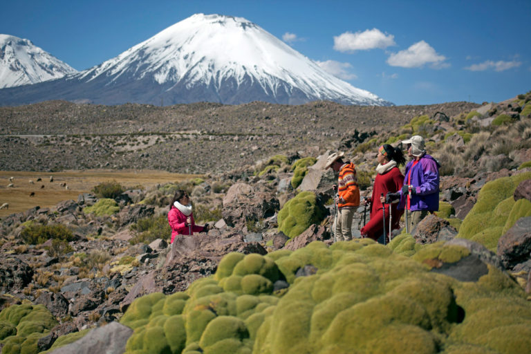 Trekking Reserva Nacional Las Vicuñas Putre Chile Hotel Terrace Lodge