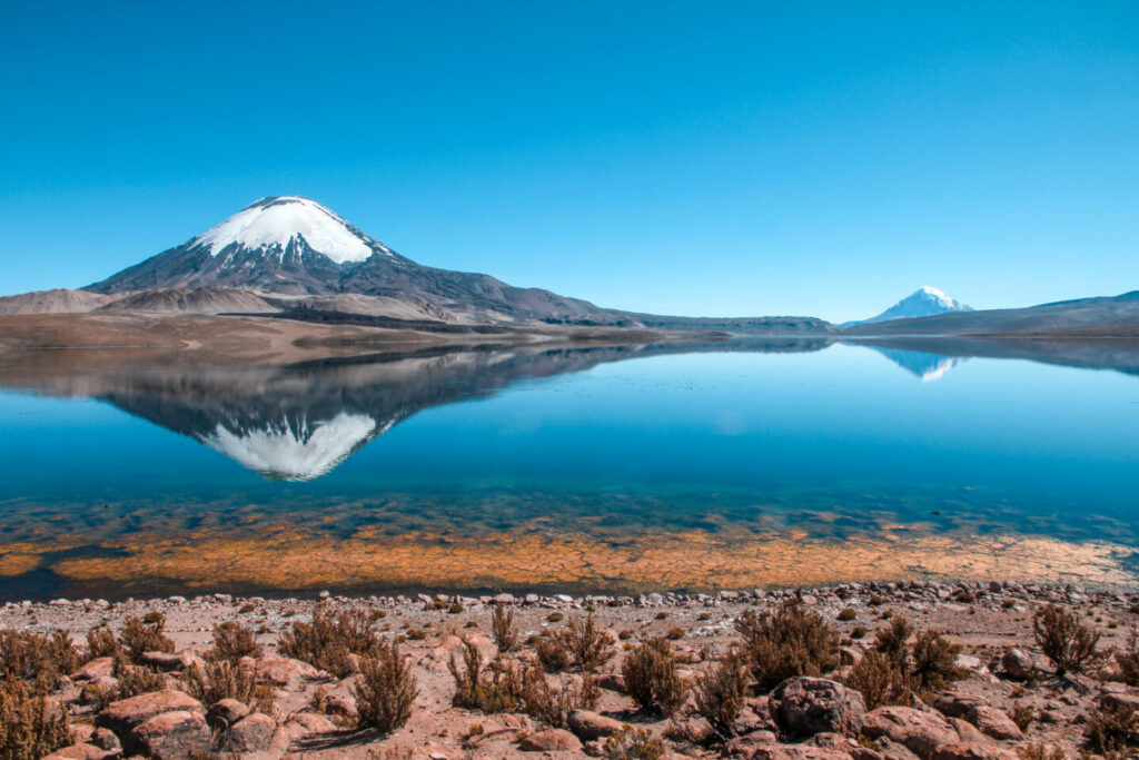 Altiplano Excursions Putre Tours